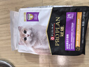 冠能猫粮幼猫猫粮3周-12月龄1.5kg 全价猫粮 添加牛初乳 增肥发腮 实拍图