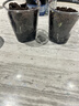 IAM City Farmer向日葵儿童种植盆栽种子学生植物观察窗科学手工实验diy植物10033 实拍图