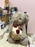 Jellycat害羞生日米色邦尼兔动物毛绒玩偶安抚娃娃送礼生日礼物 害羞生日米色邦尼兔 Medium 实拍图