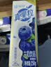 蒙牛真果粒蓝莓味牛奶饮品250g*12盒 礼盒新老包装 含乳饮料 实拍图