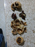 当季新疆 薄皮核桃 阿克苏特产手剥生核桃原味 源头直采 每日坚果 新疆185手剥核桃（送核桃夹）  3斤装 实拍图