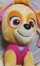 汪汪队立大功（PAW PATROL）毛绒玩具陪睡玩偶经典款天天中号坐姿公仔男女孩儿童生日礼物 实拍图