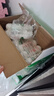 娃哈哈AD钙奶多规格整箱儿童饮料含乳饮品酸酸甜甜儿时经典近期生产 100g*24瓶 （整箱） 实拍图