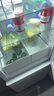 农夫山泉【新口味】东方树叶陈皮白茶500ml*15瓶无糖茶饮料0糖0脂0卡 实拍图
