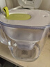 碧然德（BRITA）免安装过滤净水 滤水壶设计师系列 设计师壶Style绿 3.5L 1壶1芯 实拍图