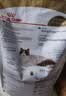 皇家猫粮 英短成猫粮 BS34 通用粮 12月以上 2KG 实拍图