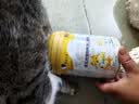 萌宠之星宠物羊奶粉狗羊奶粉猫奶粉400g山羊奶粉奶猫奶狗 实拍图
