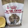 皇家猫粮 美短成猫粮 ASA31 通用粮 12月以上 2KG 实拍图
