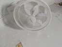 艾美特（AIRMATE）电风扇商用壁扇壁挂式风扇家用摇头转页扇餐厅宿舍食堂工业工程风扇七叶定时墙壁风扇 FW3547T2 实拍图