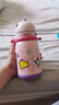 babycare儿童保温杯婴儿吸管水杯水壶不锈钢保温杯上学450ml-新旧款混发 实拍图
