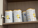 佳贝艾特（Kabrita）悦白较大婴儿配方羊奶粉2段800克*6（6-12个月) 天然A2蛋白 实拍图