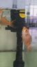 坤宁王玻璃鱼缸家用小型桌面裸缸生态缸造景客厅溪流缸乌龟缸60*30*35cm 实拍图