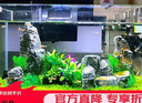 森森 超白玻璃小鱼缸HWK-600P裸缸款水草缸金鱼缸小型水族箱水草缸  实拍图