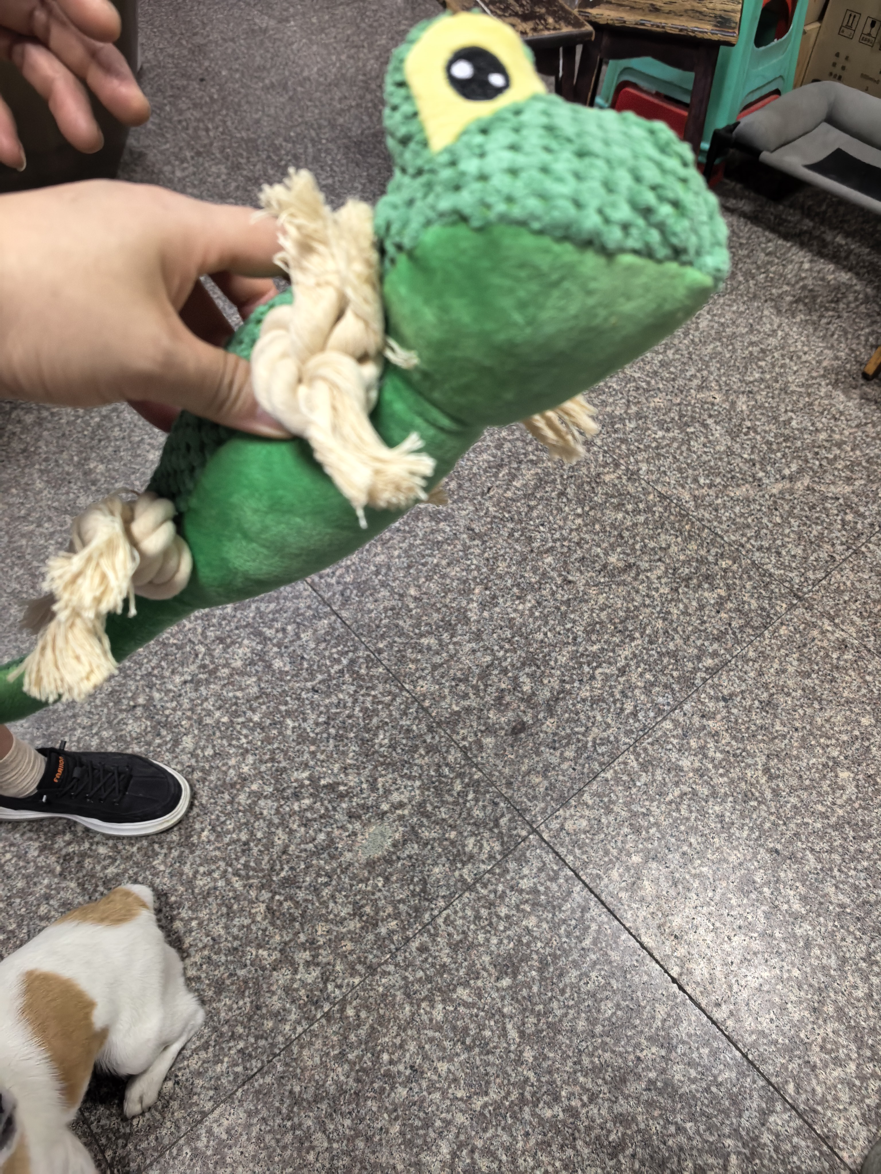 HOUYA狗狗发声玩具蜥蜴造型耐咬小狗磨牙解闷宠物大小型犬泰迪宠物用品 实拍图