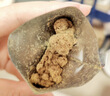 英氏婴幼儿牛肉酥猪肉酥80g*2宝宝辅食调味小包装儿童拌饭料6月+ 实拍图