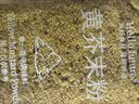 HELLO FUTURE老牌现磨正宗鲜纯黄芥末粉油纯正介么面墩天然老式新鲜籽酱膏商用 实拍图