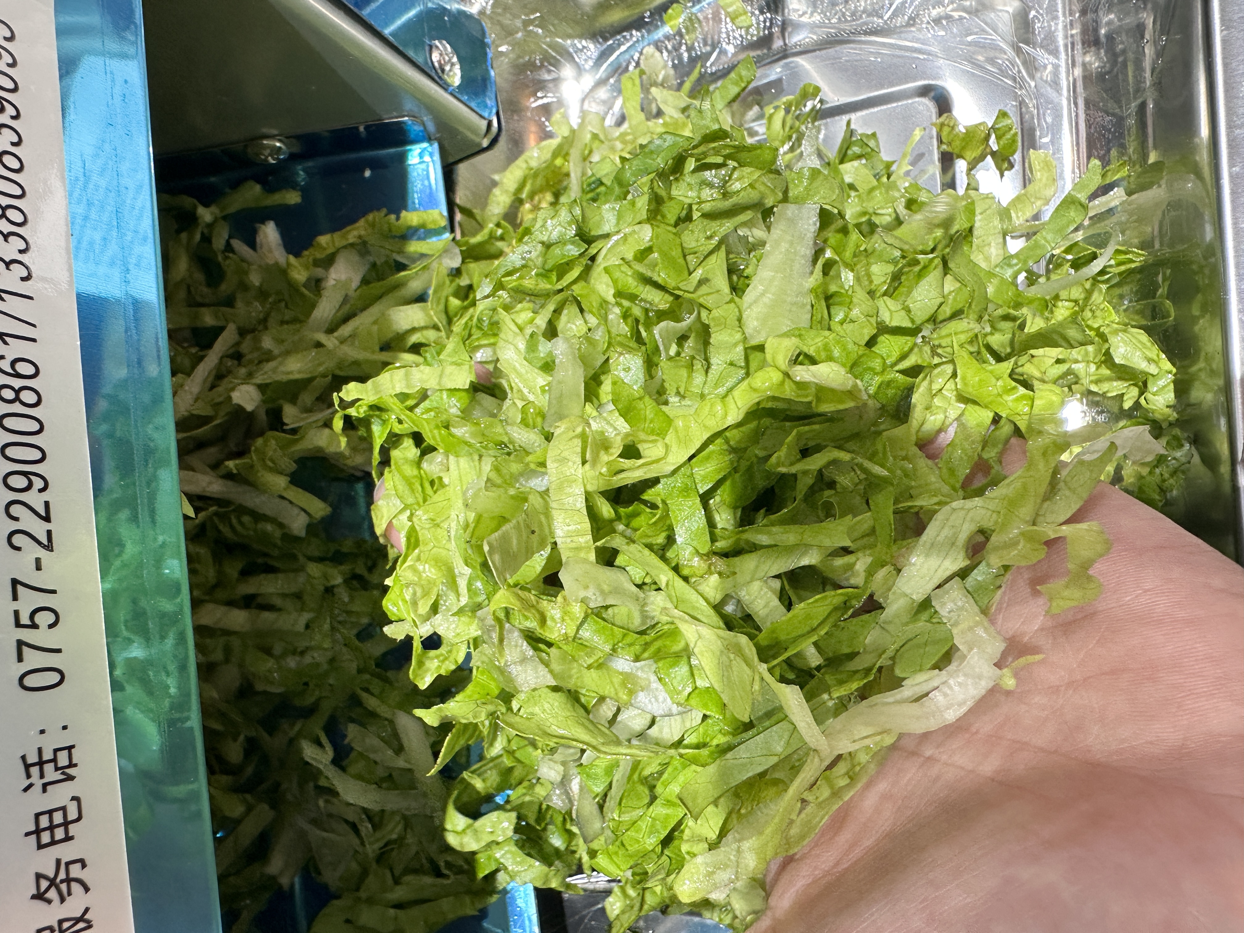 志高（CHIGO）切肉机商用全自动切肉片机绞肉机电动切菜机不锈钢多功能一体食堂肉铺厨房土豆肉片肉丝机 【标准款】不锈钢单刀口易拆款（默认3.5mm） 实拍图