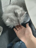 素力高（SolidGold）猫粮低脂高蛋白全阶段鲜鸡肉胖猫减肥猫粮5kg 实拍图