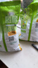 雀巢（Nestle）果维柠檬红茶1.02kg/袋 速溶固体果味茶粉饮料 实拍图
