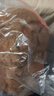 背包款汉堡包背包卡皮巴拉公仔水豚鼠玩偶土拨鼠生日礼物儿童玩具 经典款-卡皮巴拉 高约22厘米【精品8寸玩偶】 实拍图