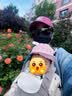 尼多熊婴儿帽子春夏鸭舌帽儿童帽子防晒棒球帽纯棉宝宝帽子透气夏季 实拍图