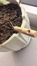 史丹利不锈钢小铲子花铲挖沙耙子园艺工具松土赶海沙滩玩具种菜养花套装 实拍图