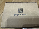 Jellycat害羞生日米色邦尼兔动物毛绒玩偶安抚娃娃送礼生日礼物 害羞生日米色邦尼兔 Medium 实拍图
