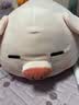 名创优品（MINISO）小猪B-BO弹力超柔趴姿公仔毛绒玩具玩偶抱枕靠枕生日61儿童节礼物 实拍图