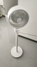 艾美特（AIRMATE）【小暴风】空气循环扇大风量摇头电风扇家用台式落地扇升级加高换气轻音柔风小风扇 FA18-X115 实拍图