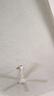 钻石牌（DIAMOND）吊扇电风扇铜芯电机铜线家用吊顶风扇56吋工业工厂车间客厅吊风扇大风力宿舍电扇 S级56寸五叶升级吊扇王（150W纯铜电机） 实拍图