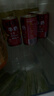 旺旺旺仔牛奶 240ml*12罐  儿童早餐奶马年版限定礼盒装  送礼佳品 实拍图
