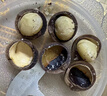 三只松鼠京觅联名夏威夷果1000g24-26mm儿童每日坚果炒货休闲零食团购送礼 实拍图