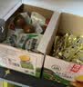 双汇富硒盐焗鸡蛋 30g*20枚/盒 卤蛋 办公室休闲零食 泡面搭档 实拍图