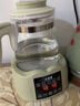 小壮熊婴儿恒温壶 调奶器烧水壶 暖奶器 恒温热水冲泡奶粉水壶 绿色1.3L 实拍图