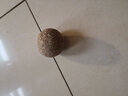 猫玩具 逗猫棒激光笔猫抓板猫转盘球宠物逗猫咪玩具套装  猫薄荷球 实拍图