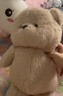 熊猫熊跑跑小熊玩偶包包背包斜挎包毛绒玩具公仔送女友女生生日礼物女孩 实拍图