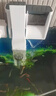 森森 水族鱼缸过滤器 外置壁挂过滤器 去除油膜瀑布式过滤 EBL-403佳璐5W带除油膜(60cm内缸用 ) 实拍图