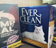 铂钻（EverClean）除臭低尘膨润土宠物用品矿砂猫砂低尘多效金标微香10L 实拍图