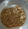 素养生活有机燕麦米1斤 燕麦仁 保留胚芽 燕麦米煮粥 五谷杂粮 粗粮代餐 实拍图