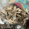 京鲜生云南鹿茸菇干货净重1斤 当季新货脆嫩爽口火锅煲汤小炒源头直发 实拍图