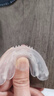 可孚牙齿矫正器 隐形牙套磨牙保持器成人地包天纠正不整齐【1阶段】 实拍图