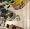 美乐棵  通用营养土养花花肥种植土花土种菜土盆栽绿植专用土壤100L 实拍图