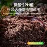 品氏基质泥炭土有机营养土种菜花土椰糠壳珍珠岩羊粪肥料火山蛭石赤玉土 原装进口通用型80L*1 实拍图