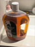滴露（Dettol）消毒液洗衣衣物消毒水750mL 除螨杀菌混洗无忧 家居地板消毒 非84 实拍图