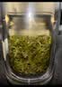 一杯香茶叶绿茶明前碧螺春400g2026新茶礼盒装高端送礼送老丈人长辈领导 实拍图