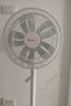 格力（GREE）【价低头部主播9折】【花精灵Se】一级能效直流变频轻音节能遥控电风扇卧室落地扇静音家用风扇 实拍图