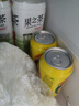 广氏无酒精菠萝啤饮料果啤麦芽汁菠萝味汽水330ml*24罐 实拍图