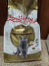 皇家猫粮 英短成猫粮 BS34 通用粮 12月以上 10KG 实拍图