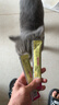 麦斯蒂鱼油猫条猫咪鸡肉金枪鱼鳕鱼成猫幼猫猫条混合15g*101支 实拍图