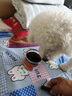 疯狂小狗 狗零食狗狗磨牙棒 泰迪金毛幼犬成犬洁齿骨头耐咬胶 牛肉味220g 实拍图
